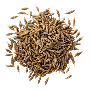 Close-up of a pile of cumin seeds, perfect for adding flavor to your dishes.