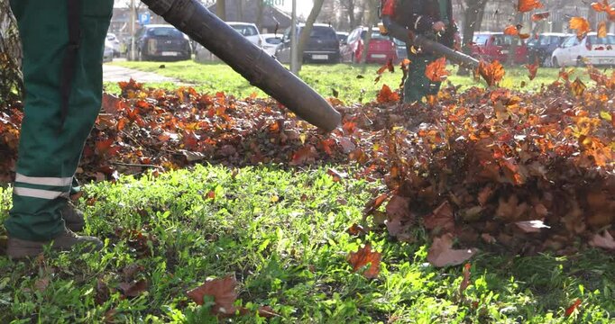 Workers cleaning autumn leaves in the city park, slow motion. Gardener machinery blowing leaves in the autumn season, close up. In the background lot of cars in the parking