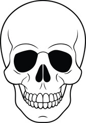 Realistic Skull Line Art Silhouette Vector Illustration