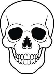 Realistic Skull Line Art Silhouette Vector Illustration