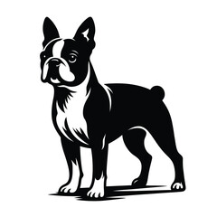 Silhouette of a Boston Terrier