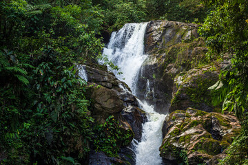 Naklejka premium waterfall in the forest