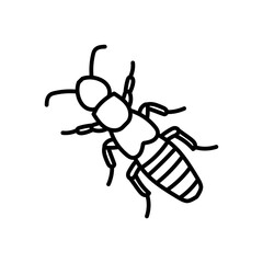 Beetle Staphylinus Outline Icon, Vector illustration