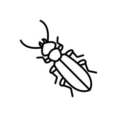 Cucujus Cinnaberinus Outline Icon, Vector illustration