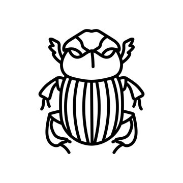 Dung Beetles Outline Icon, Vector illustration