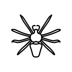 Spider Outline Icon, Vector illustration