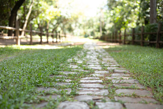 estrada com pedras, grama e cerca de madeira no parque ao ar livre