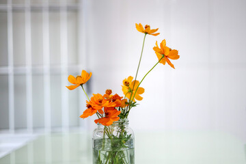 flowers in vase