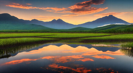 Fototapeta premium Lush sugarcane plantation, creating a serene vibe.