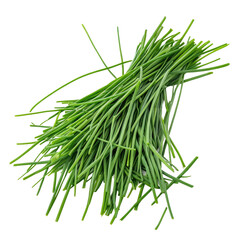A bunch of fresh chives, ready to add a burst of flavor to any dish.