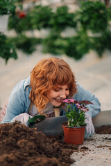 Botanist smelling flower in gardening pot while changing soil.