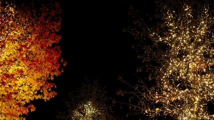 Feierliche Beleuchtung als Dekoration f&uuml;r Weihnachten