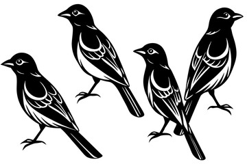 Oriole silhouette vectorart. This is editable and printable vector eps file