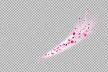 Flower petals wind swirl. Sakura decoration on transparent background. Stock vector illustration in realistic style.