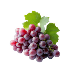 Fototapeta premium Fresh Red Grapes with Green Leaves