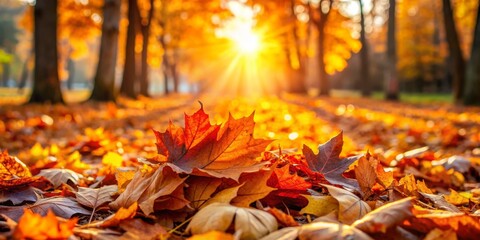 Autumn Leaves in a Sunlit Forest, Close-Up, Golden Hues, Fall Foliage, Nature, Autumn, Nature Photography