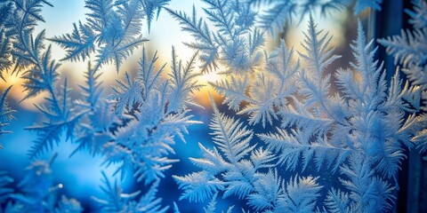 Frost-Covered Windowpane with Sunlit Blue Hues, Winter Wonderland, Crystal, Ice Patterns , winter, frost, window