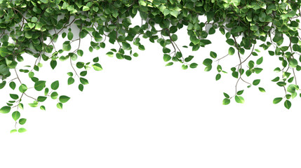 Large tree branches and foliage leaves on top border, 3D render, isolated on white background