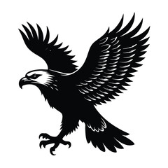 Obraz premium flying Eagle black and white illustration silhouette,