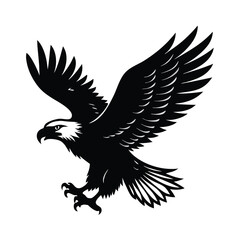 Obraz premium flying Eagle black and white illustration silhouette,