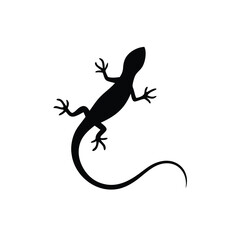 Fototapeta premium Lizard Silhouette Clipart , white background,