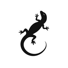 Fototapeta premium Lizard Silhouette Clipart , white background,
