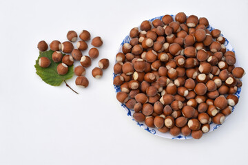 Hazelnuts in shell on a plate and on a white background with hazel leaf