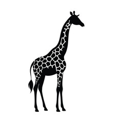 Obraz premium animal silhouette, giraffe, vector silhouette, isolated white background, 