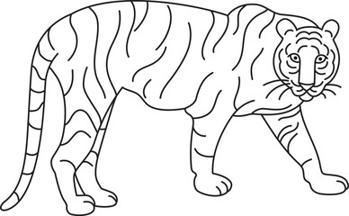 Tiger - vector black line drawing