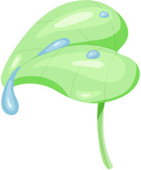 green leaf with drops