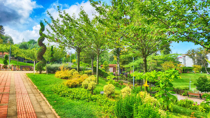 Plant, tree and flower species in the Trabzon Botanical Garden