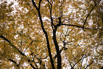Herbsttage