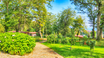 Plant, tree and flower species in the Trabzon Botanical Garden