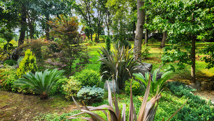 Plant, tree and flower species in the Trabzon Botanical Garden