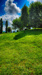 Plant, tree and flower species in the Trabzon Botanical Garden