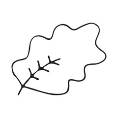 oak leaf doodle. Leaf from tree. Falling leaves. Vector illustration.