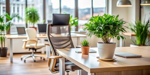 Fototapeta premium Modern Office Desk with Plants and a Comfortable Chair, office design, interior design, workspace