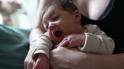Newborn baby rests in parent's arms, gazing around with curiosity. The cozy indoor setting and the...