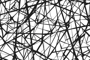 Obraz premium Abstract Black and White Geometric Pattern with Intersecting Lines