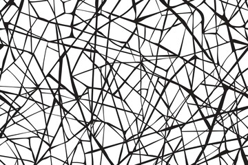 Obraz premium Abstract Black and White Line Pattern Design