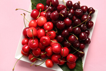 Plate with sweet cherries on pink background