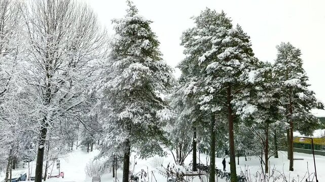Beautiful snowfall in 4K video in nature background with branched trees around during the Winter. Cold weather. 4K copyspace.