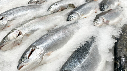 Fresh sea fish on display at market. Healthy seafood concept.