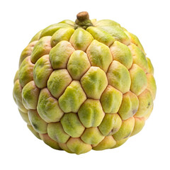 Obraz premium vsugar apple or custard apple whole ripe exotic tro isolated on transparent background