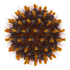 3D medical illustration. Microscopic view of floating disease respiratory influenza virus cell. Colorful Virus Bacteria isolated Under Microscope