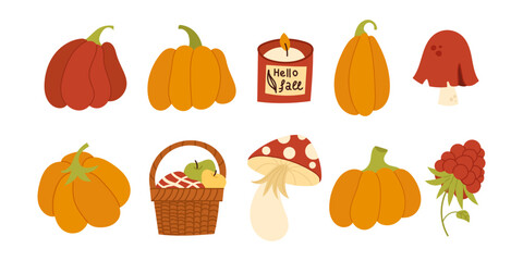 Autumn elements set, cute hand drawn seasonal objects. Vector illustration in flat style