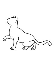 Cat Icon Vector