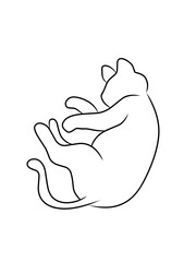 Cat Icon Vector