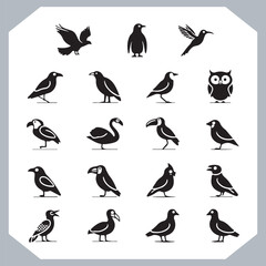 Set of black bird silhouettes and birds collection, bird set design. Eagle, Parrot, Penguin, Owl, Sparrow, Peacock, Flamingo, Hummingbird, Ostrich, Hawk.