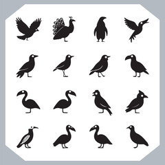 Set of black bird silhouettes and birds collection, bird set design. Eagle, Parrot, Penguin, Owl, Sparrow, Peacock, Flamingo, Hummingbird, Ostrich, Hawk.